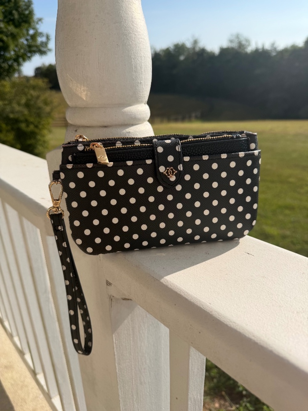 Nanette Lepore 2-in-1 clutch